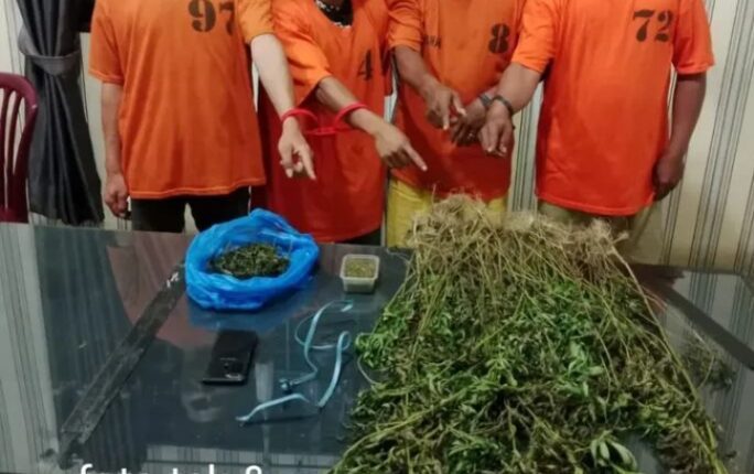 foto slider headline