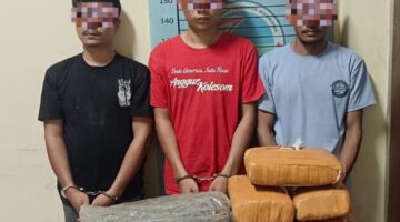 Digerebek Saat Santai di Rumah, 3 Pria Tak Berkutik – Sat Resnarkoba Polres Agara Temukan Ganja Belasan Kilo