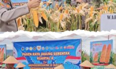 berita-pilihan-foto