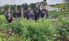 berita-pilihan-foto