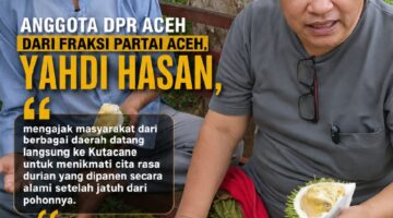 Yahdi Hasan Ajak Masyarakat Nikmati Durian Kutacane, Panen Alami Jadi Jaminan Kualitas