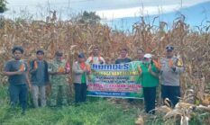 berita-pilihan-foto