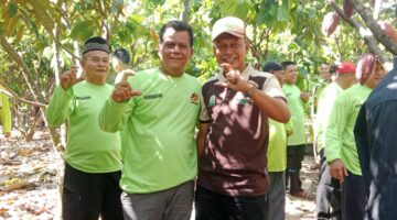 Ditjenbun Kementan RI Tinjau Potensi Kakao di Desa Kute Kuning 2 dan Desa Cinta Damai