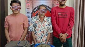 Peredaran Ganja Dibongkar, Polres Aceh Tenggara Amankan 3 Pelaku dan 708,82 Gram Barang Bukti