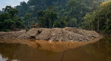 Bukti Citra Satelit Tak Terbantahkan, Bukaan Hutan PETI di Kerinci Merangin Bungo Melonjak Hingga 699 Hektare
